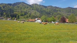 s´Quartier am Schliersee