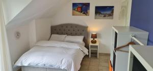 Schönste Lage am Rhein in unmittelbarer Stadtnähe, B & B