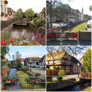 B&B / Chambre d'hôtes Sci du Muhlbach 31 Rue du Quartier Central 67140 Stotzheim Alsace