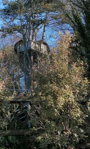 SHERWOOD TREE