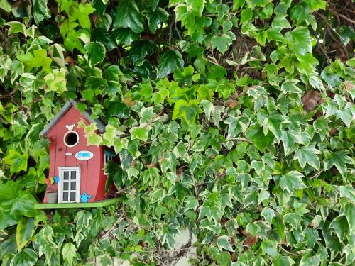 Smiling Places - Guest House in Labruge