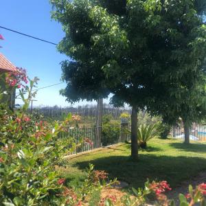 SOLAR DA SERRA-GuestHouse