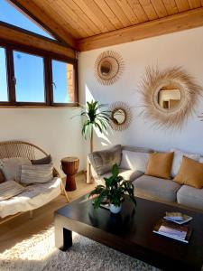 Songes de vigne