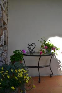 B&B / Chambre d'hôtes Sous les chênes Chemin du menhir hameau de beth 30580 Lussan Languedoc-Roussillon