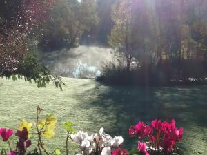 B&B / Chambre d'hôtes Spruce Lake pontauty rue de montiel 87400 Sauviat-sur-Vige Limousin