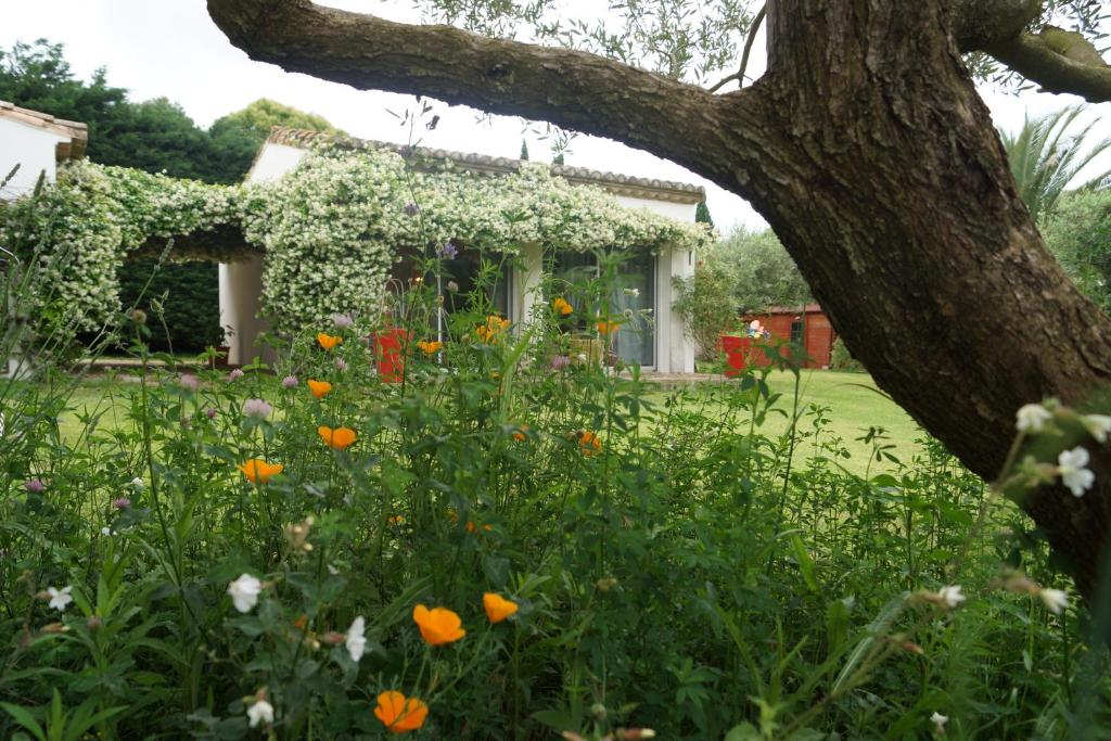 B&B / Chambre d'hôtes Studio au coeur de la petite camargue 56 Chemin du Bois des Pins 30640 Beauvoisin