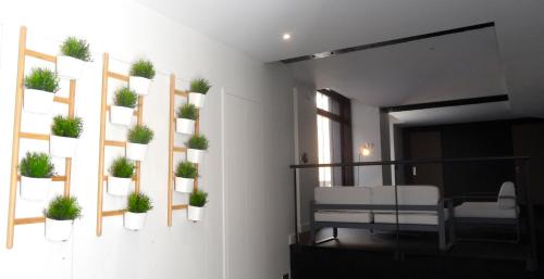 Studio luxe hyper centre piscine