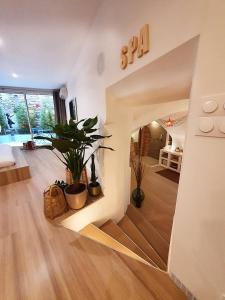 Suite 6