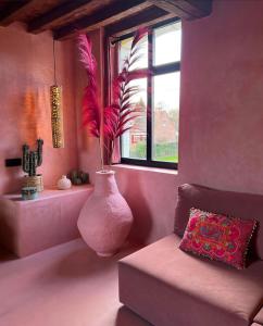 Suite La Bonita