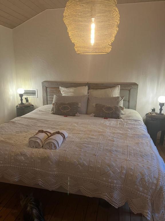 B&B / Chambre d'hôtes Suite partner 8 Rue du Château 11160 Peyriac-Minervois