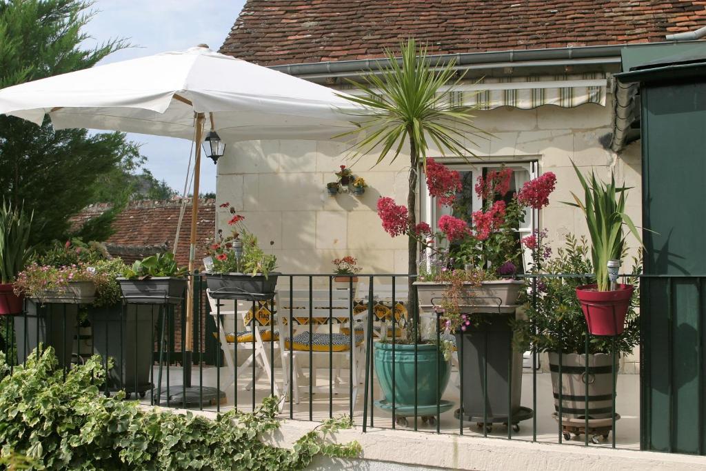 B&B / Chambre d'hôtes Terre d'espérance 41 Avenue Léon Gambetta 41110 Saint-Aignan