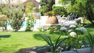 Terre de Bacchus