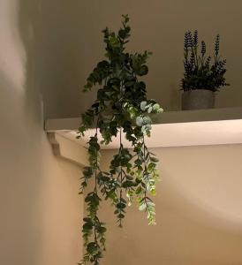 The Garden Room