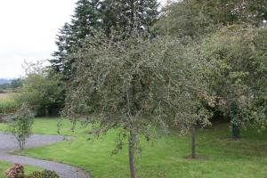 The Magnolias B&B