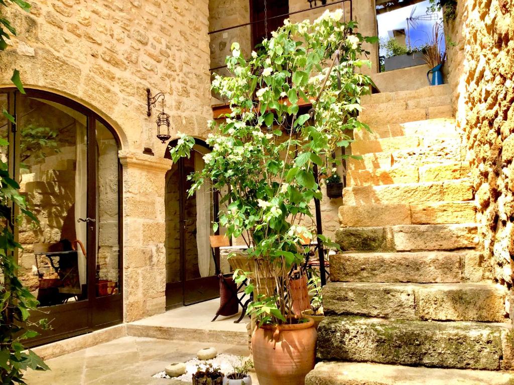 Un Patio en Luberon Rue du Grand Four, 84240 Ansouis