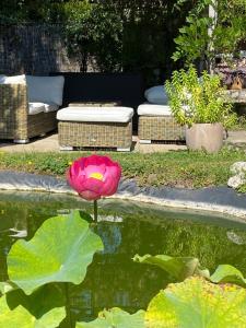 Une Vie en Rose