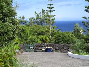 Vila Holanda Bed & Breakfast