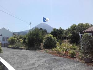 B&B / Chambre d'hôtes Vila Holanda Bed & Breakfast Rua Do Mar 5, Santana 9940-213 Santo António Açores