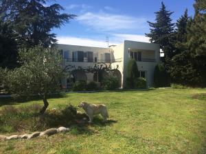 Villa Côte Vermeille