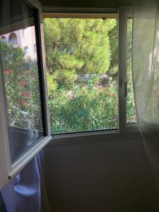 B&B / Chambre d'hôtes Villa Croix d Argent 15mn des plages 76 rue charles vanel 34070 Montpellier Languedoc-Roussillon