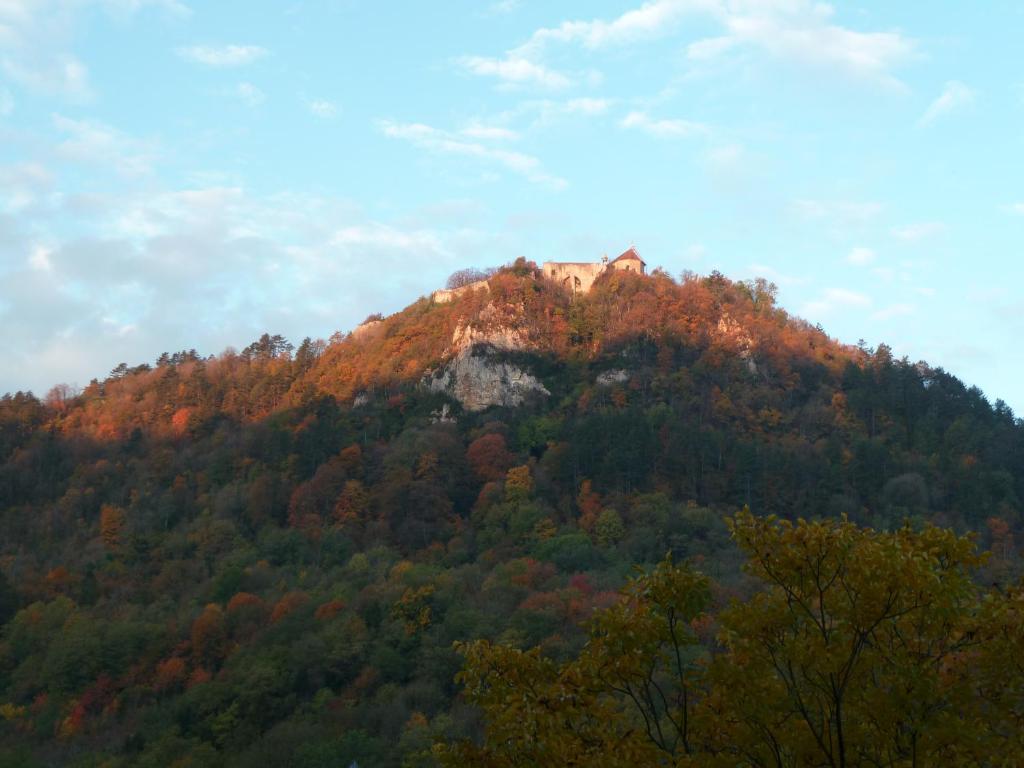 Villa des Canuts