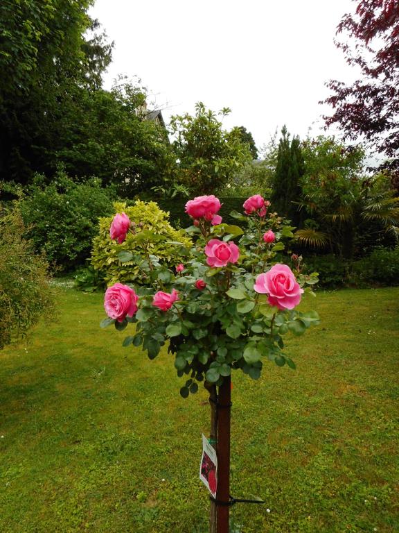 B&B / Chambre d'hôtes Villa Helianthe 198 rue Caponière 14000 Caen