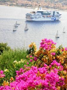 Villa Vetricella Corse Sud