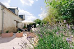 Violette et Muguet