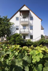 B&B / Chambre d'hôtes Weingut & Gästehaus Christoph Clüsserath Im Hof 7 54349 Trittenheim Rhénanie-Palatinat