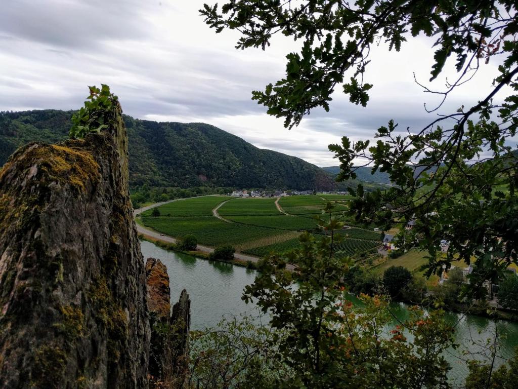 Weingut Pension Hammes-Krüger Weinstraße 13, 56821 Ellenz-Poltersdorf