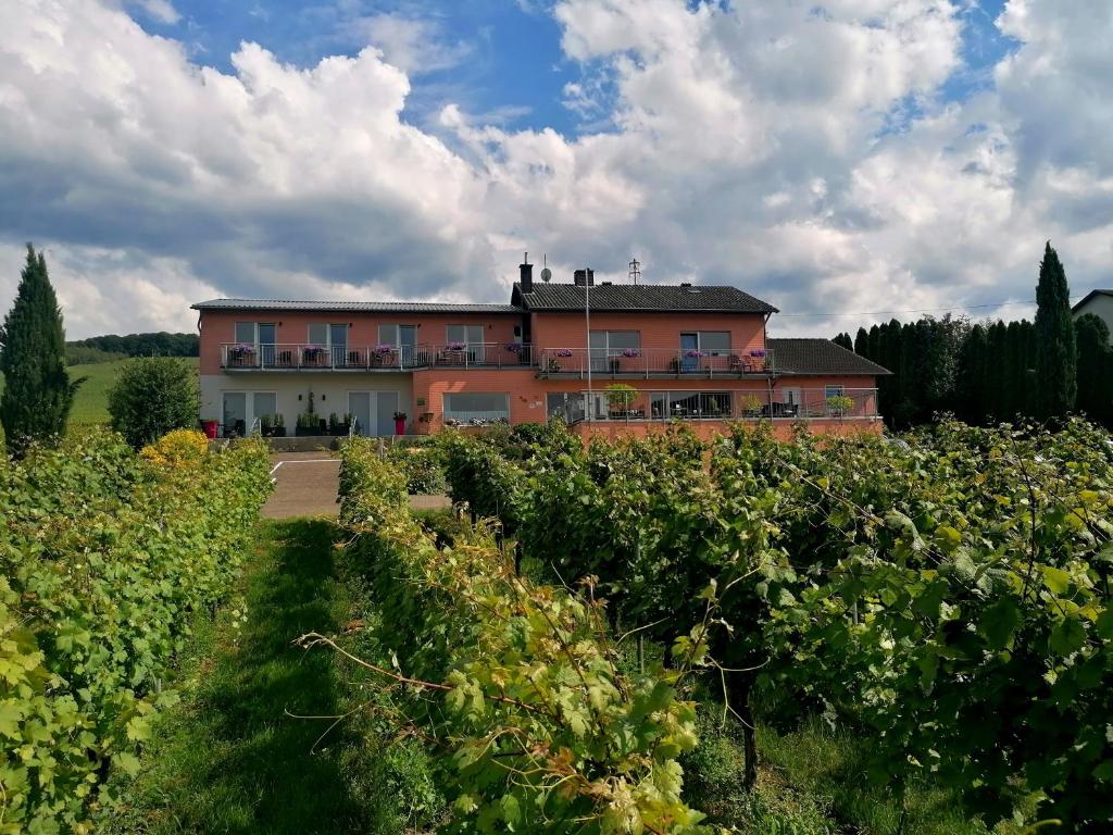 Weingut Tiliahof Auf Dem Siebent 1, 54472 Brauneberg