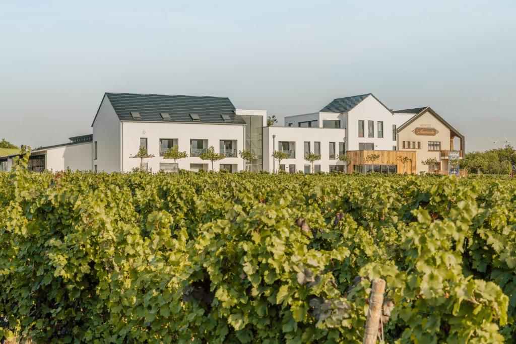 Zeit bei Sauerweins 2 Römerstraße, 54439 Palzem