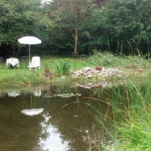 Zimmer mit Teichblick