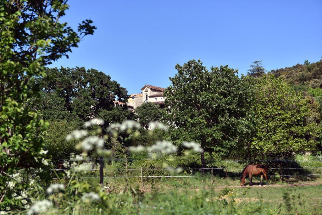 B&B / Chambre d'hôtes B&B Champdelaplume 500 chemin de chabriac, 30430 Barjac