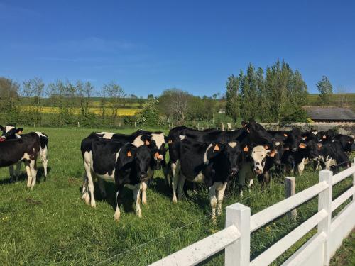 B&B de Saint Come de Fresné Saint-Côme-de-Fresné france