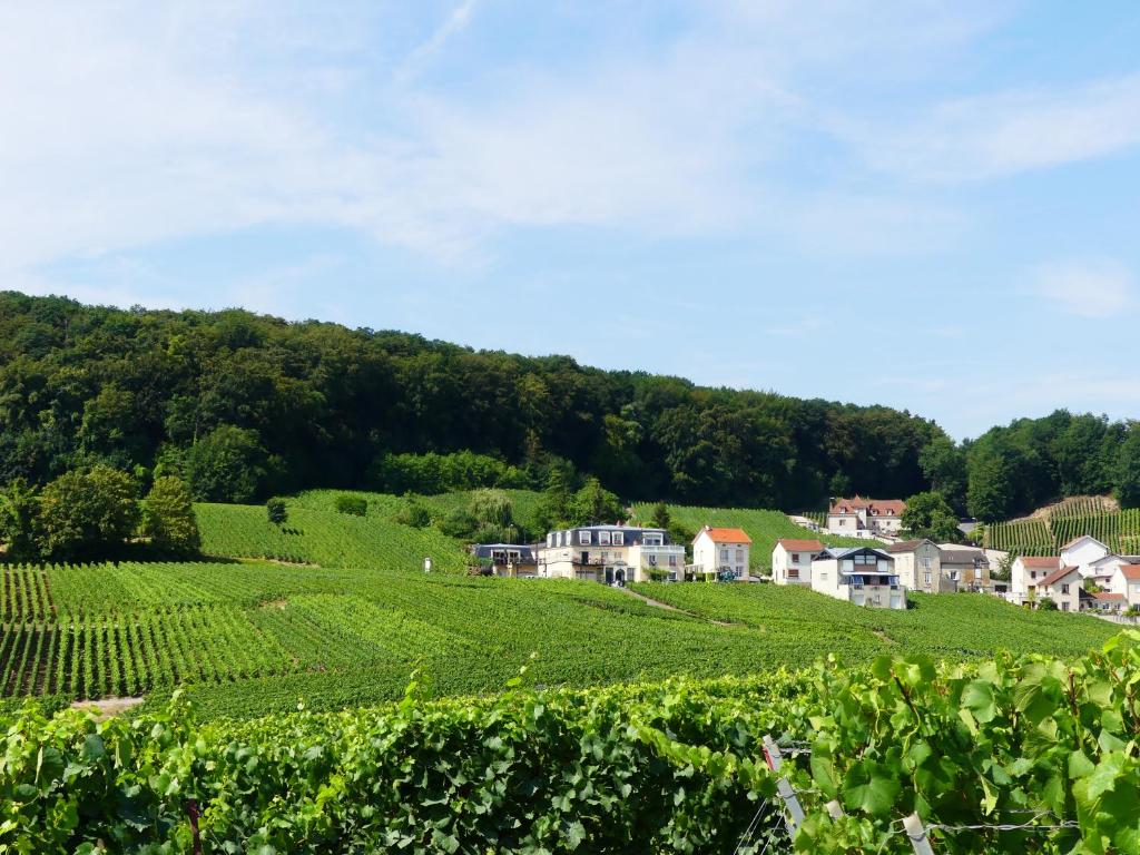 Maison d'hôtes B&B en Champagne 555 Rue de la Libération, 51530 Cramant