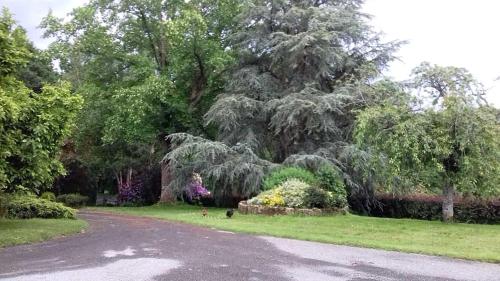 B&B La Gautraie Carnet france