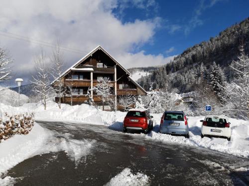 Appartement B3 Albmatte-FEWO am Revitalbad Winterhalterweg 7 Haus Albmatte Menzenschwand