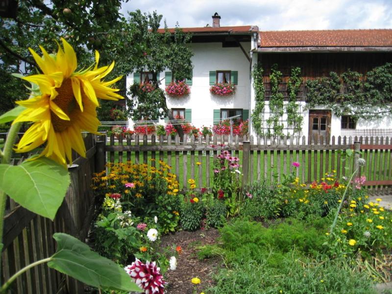 Séjour à la ferme Bablhof Lackenbergweg 4, 83246 Oberwössen