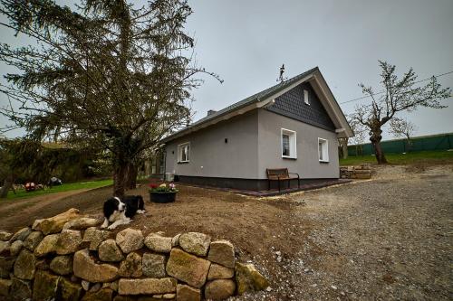 Bagger's Ferienhaus Timmenrode allemagne