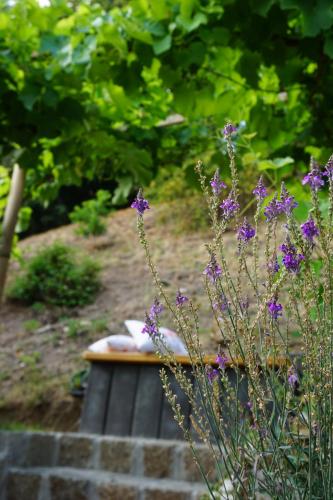 Maison d'hôtes Balancehaus Kohren-Sahlis Töpferstraße 3 Kohren-Sahlis