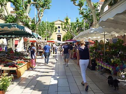 Appartement Bandol Studio 246 Rue Richelieu Bandol