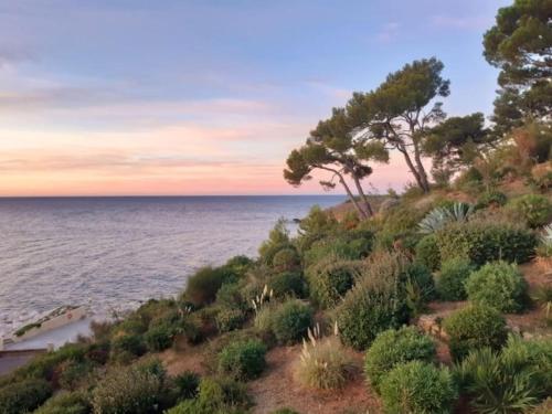 Appartement Bandolpiedanleau 1390 boulevard des engraviers Apt 636 résidence Athena port 83150 bandol Bandol