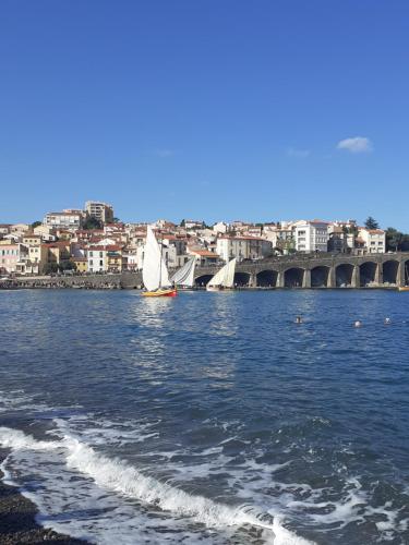 Banyuls vu d'en haut : appartement T3 spacieux Banyuls-sur-Mer france