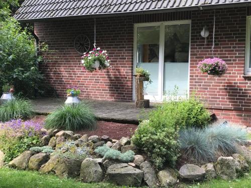 Barock Hengst Hof Niederhaverbeck allemagne