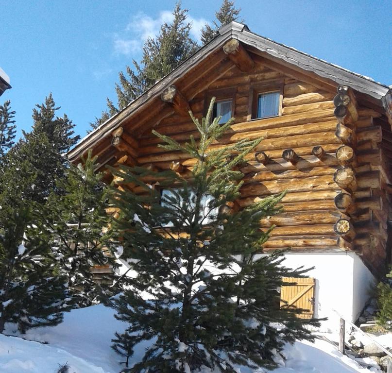 Appartement Bas de Chalet Canadien 7 Rue du Domaine de la Soulane, 66210 Bolquère-Pyrénées 2000