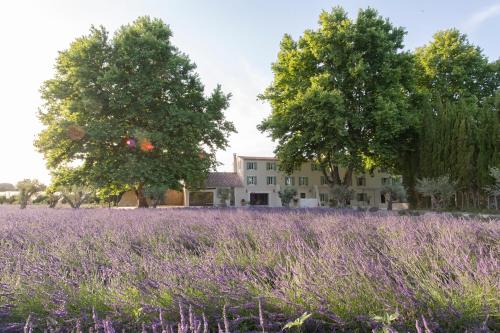 Bastide Des Lavandins Le Thor france