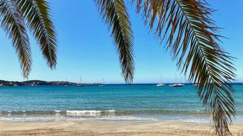 Bandol Voilier logement à louer pour 4 personnes - var