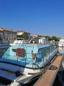 Bateau Bleu Entier 10m avec Terrasse