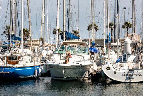 Boat Vedette Arlequin
